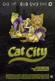 225_catcity2