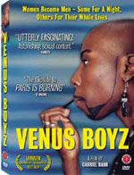 i_venus_boys.jpg